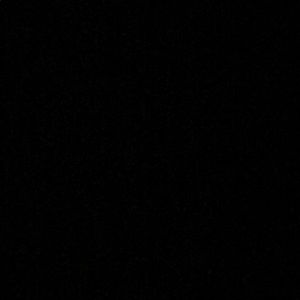 Meet your Posher, Shawndi